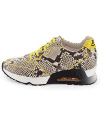 Ash Love Printed Trainer Sneaker - Lyst