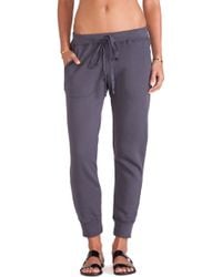 velvet by graham and spencer pants