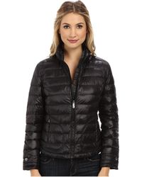 Calvin Klein Cw412639 - Lyst