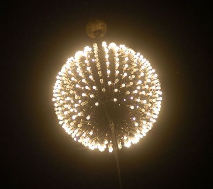 Winter Celebration