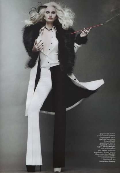 Trends: Dalmatian