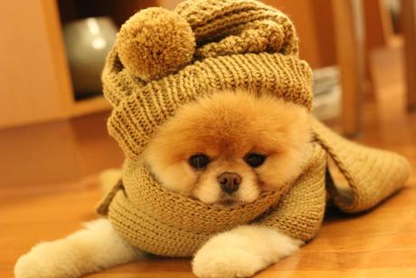 2cute or even 3cute