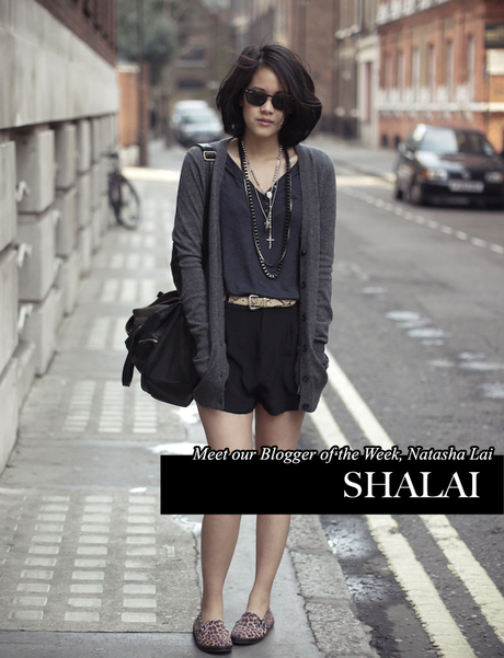 Natasha, Shailai's Picks