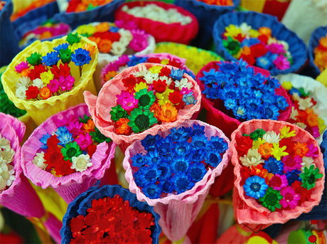 Colors of life