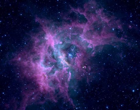 Lost in the Cosmos