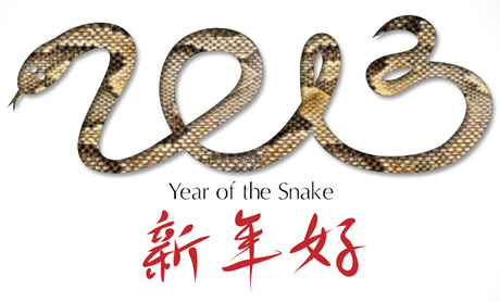Chinese New Year and Spring 2013 Reptile Prints