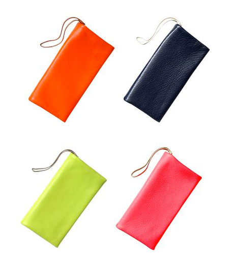 Ideal Bag…In the Clutch!