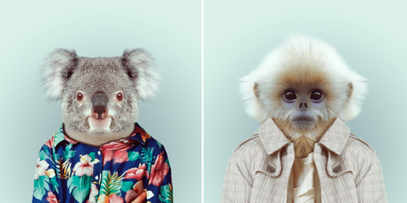  Animal Instinct