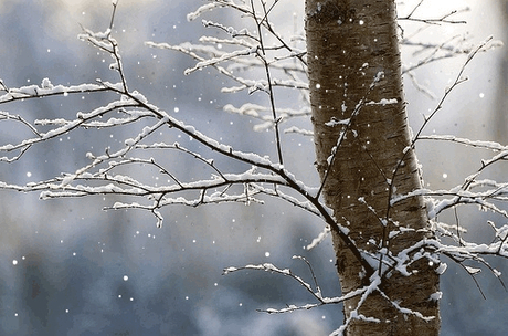Winter Needs