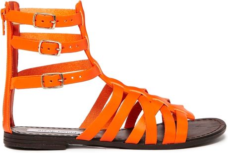 Steve Madden Plato Multi Strap Orange Gladiator Flat Sandals in Orange ...