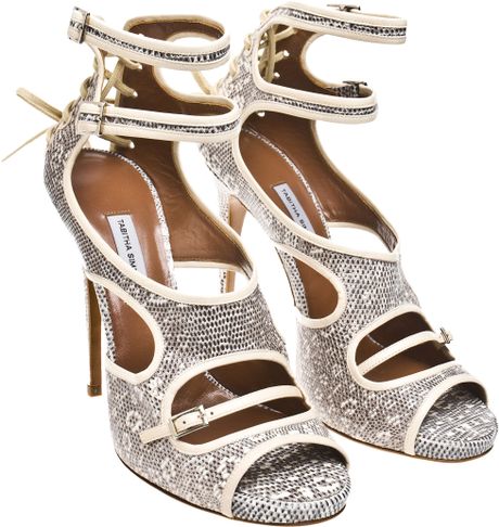 tabitha simmons bailee suede shoes