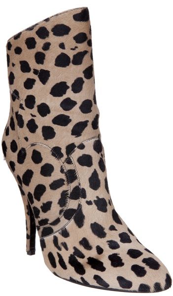 Balmain Leopard Print