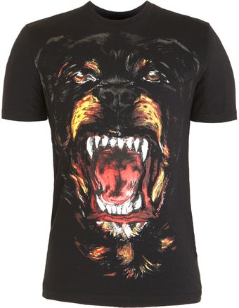 Givenchy Rottweiler Tee - Lyst