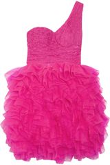 Rare Opulence Lace and Tulle Tutu Dress