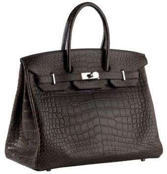 Hermes 35cm Birkin - Lyst