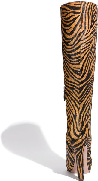 tiger print thigh high boots