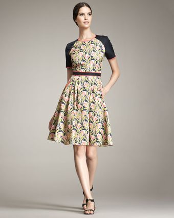  Printed Dress with Solid Sleeves 