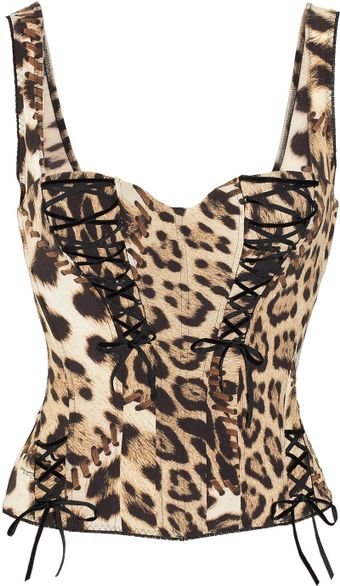 Roberto Cavalli Leopard-print Stretch-chiffon Bustier - Lyst