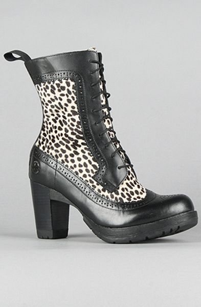 wingtip black and white