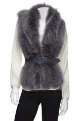 Hockley Belted Merrill Fox Fur Scarf: Grey