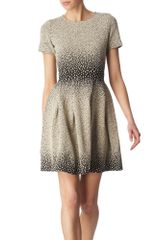 Issa Degráde Dress