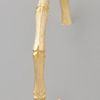 Kenneth Jay Lane Large Bamboo Hoop Earrings in Gold - Lyst