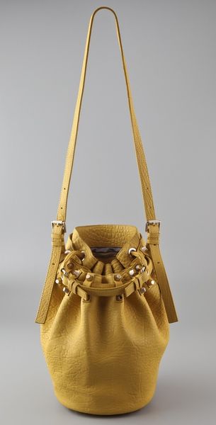  Diego Bucket Bag 