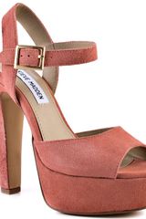 Steve Madden Dynemite - Coral Suede