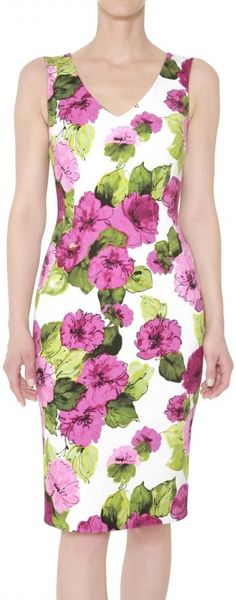 D&g Dhalia Print Stretch Gabardine Dress in Multicolor (multi) - Lyst