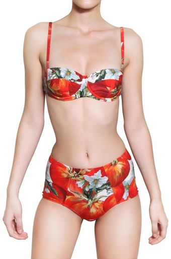 Dolce & Gabbana Tomato Printed Lycra Slip - Lyst