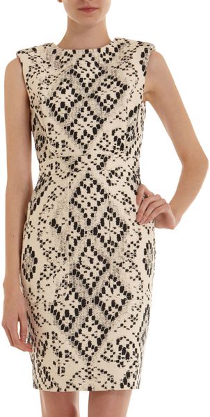 Giambattista Valli Lace Canvas Dress in Beige (ivory) - Lyst