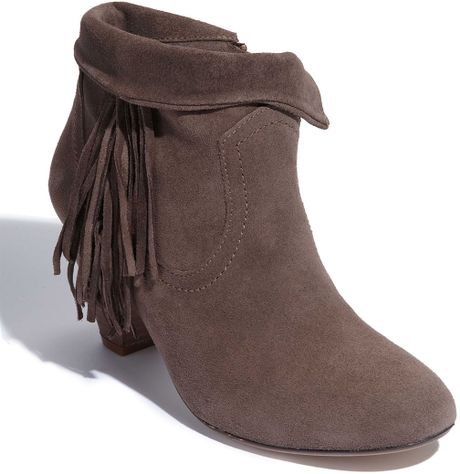 Steve Madden Pisstoll Fringe Bootie in Brown (taupe suede) | Lyst