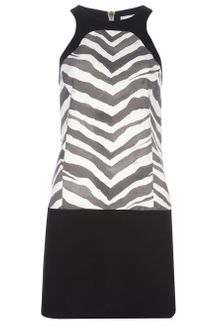 Emilio Pucci Zebra Print Dress - Lyst