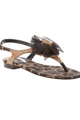 Dolce & Gabbana Flower Detail Sandal
