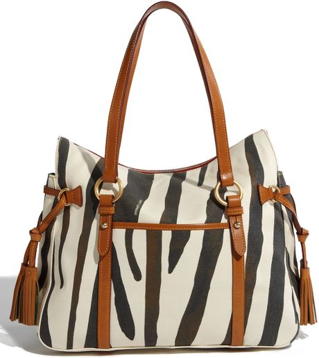 dooney and bourke zebra print