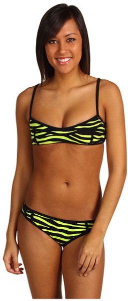  Allover Zebra Seamed Bra and Classic Bottom Set 