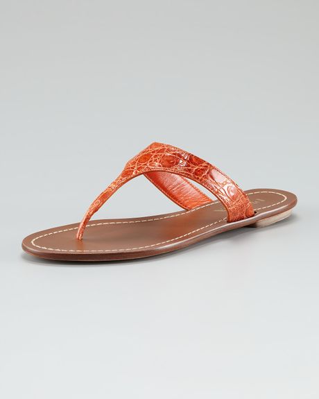Crocodile Thong
