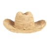 Allsaints Maurette Hat in Beige (natural) - Lyst