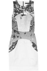 Aminaka Wilmont Printed Stretch-cotton Mini Dress