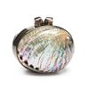 Celestina Maricel Soriano Paua Clutch in Multicolor (silver) - Lyst
