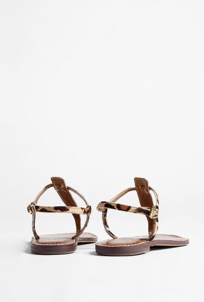 Sam Edelman Leopard Print Gigi Thong Sandal in Animal (leopard) | Lyst