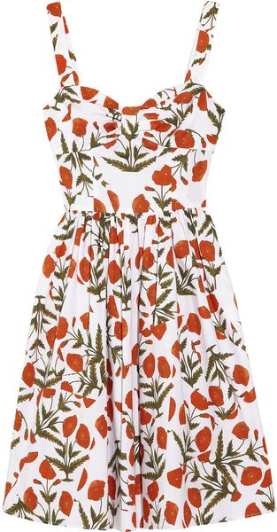 Oscar de la Renta Printed Cottonblend Dress - Lyst