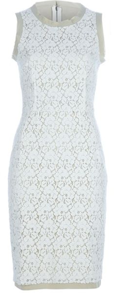  Lace Detail Dress 