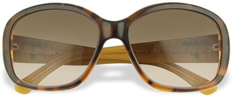 Prada Signature Temple Plastic Sunglasses in Brown - Lyst