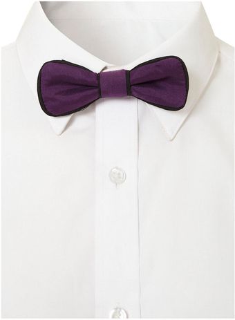  Purple Piped Bow Tie 