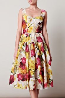 Dolce & Gabbana Redonion Print Organza Dress - Lyst