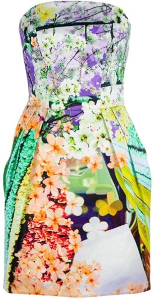 Mary Katrantzou Floral Bustier Dress - Lyst
