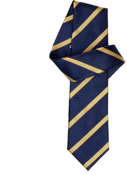 navy and yellow tie