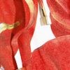 Dolce & Gabbana Tomatoprint Bikini Briefs in Red (tomato) - Lyst