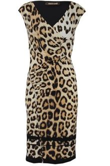 Roberto Cavalli Roberto Cavalli Dress - Lyst